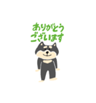 黒柴のスタンプ〜！（個別スタンプ：2）