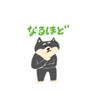 黒柴のスタンプ〜！（個別スタンプ：17）