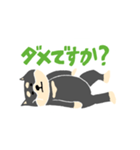 黒柴のスタンプ〜！（個別スタンプ：31）