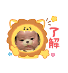 かれんちゃん✿✿（個別スタンプ：3）