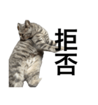 ねこのがおちゃん2（個別スタンプ：32）