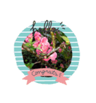 My Flower 2（個別スタンプ：7）