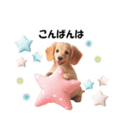 かわいいダックスの犬スタンプ（個別スタンプ：3）