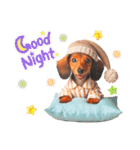 かわいいダックスの犬スタンプ（個別スタンプ：4）