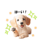 かわいいダックスの犬スタンプ（個別スタンプ：5）