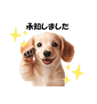 かわいいダックスの犬スタンプ（個別スタンプ：8）