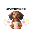 かわいいダックスの犬スタンプ（個別スタンプ：10）