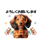 かわいいダックスの犬スタンプ（個別スタンプ：12）
