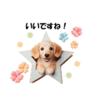 かわいいダックスの犬スタンプ（個別スタンプ：19）