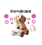 かわいいダックスの犬スタンプ（個別スタンプ：21）