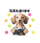 かわいいダックスの犬スタンプ（個別スタンプ：26）