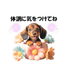 かわいいダックスの犬スタンプ（個別スタンプ：27）