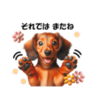 かわいいダックスの犬スタンプ（個別スタンプ：29）