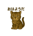 ワイルド猫×日常ボソッと一言（個別スタンプ：1）