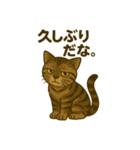 ワイルド猫×日常ボソッと一言（個別スタンプ：2）