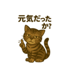 ワイルド猫×日常ボソッと一言（個別スタンプ：3）