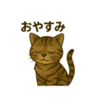 ワイルド猫×日常ボソッと一言（個別スタンプ：4）