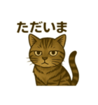 ワイルド猫×日常ボソッと一言（個別スタンプ：5）