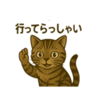ワイルド猫×日常ボソッと一言（個別スタンプ：6）
