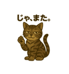 ワイルド猫×日常ボソッと一言（個別スタンプ：8）