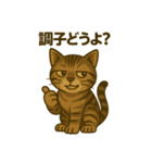 ワイルド猫×日常ボソッと一言（個別スタンプ：9）