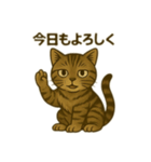 ワイルド猫×日常ボソッと一言（個別スタンプ：11）