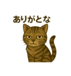 ワイルド猫×日常ボソッと一言（個別スタンプ：13）