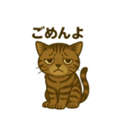 ワイルド猫×日常ボソッと一言（個別スタンプ：14）