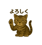 ワイルド猫×日常ボソッと一言（個別スタンプ：16）