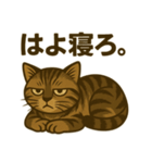 ツンデレ猫のひとことスタンプ（個別スタンプ：4）