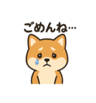 しばいぬ日常スタンプ（個別スタンプ：2）