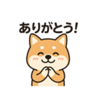 しばいぬ日常スタンプ（個別スタンプ：4）