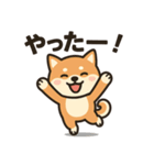 しばいぬ日常スタンプ（個別スタンプ：5）