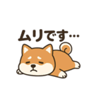 しばいぬ日常スタンプ（個別スタンプ：6）