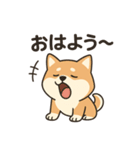 しばいぬ日常スタンプ（個別スタンプ：8）