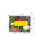 敬語かもしれませんが。（個別スタンプ：2）