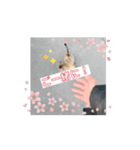 敬語かもしれませんが。（個別スタンプ：6）