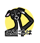 【ブラック】1年中使えるイタグレスタンプ（個別スタンプ：2）