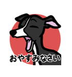 【ブラック】1年中使えるイタグレスタンプ（個別スタンプ：4）