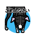 【ブラック】1年中使えるイタグレスタンプ（個別スタンプ：7）