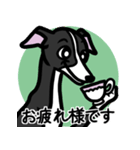 【ブラック】1年中使えるイタグレスタンプ（個別スタンプ：8）