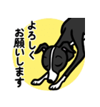 【ブラック】1年中使えるイタグレスタンプ（個別スタンプ：9）
