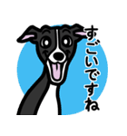 【ブラック】1年中使えるイタグレスタンプ（個別スタンプ：14）