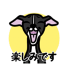 【ブラック】1年中使えるイタグレスタンプ（個別スタンプ：16）