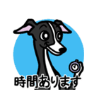 【ブラック】1年中使えるイタグレスタンプ（個別スタンプ：21）
