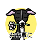 【ブラック】1年中使えるイタグレスタンプ（個別スタンプ：23）