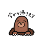 ゆるゆる日常動物スタンプ（個別スタンプ：6）