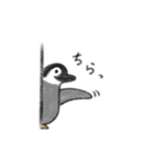 ゆるゆる日常動物スタンプ（個別スタンプ：12）