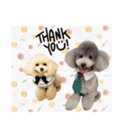 poodle2025（個別スタンプ：1）