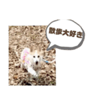 お散歩はむちゃん（個別スタンプ：8）